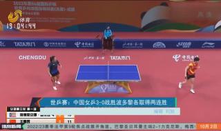 2021世界杯乒乓女单冠军是谁 2022布达佩斯世乒赛女单亚军